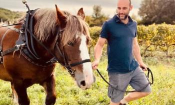 Thibaut et Echo