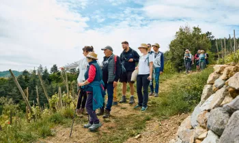 Vignes & Saveurs – Balade gourmande en Rhône Crussol_Saint-Péray