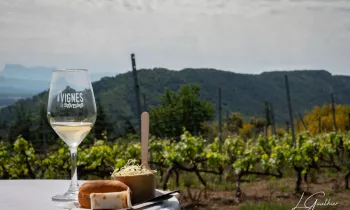 Vignes & Saveurs – Balade gourmande en Rhône Crussol_Cornas