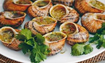 Visite gourmande de la ferme l'Escargot des Restanques