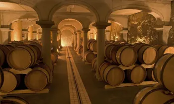 Visite et dégustation au Domaine de Beaurenard_Châteauneuf-du-Pape