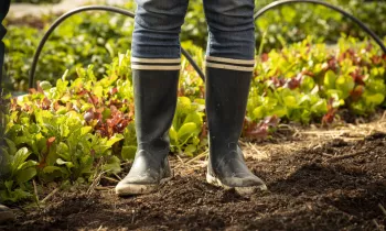 Les Rencontres avec un Producteur du Beaujolais_Villefranche-sur-Saône