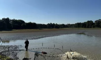 Journées Découverte Poissons de Dombes