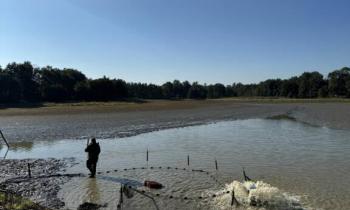 Journées Poissons de Dombes