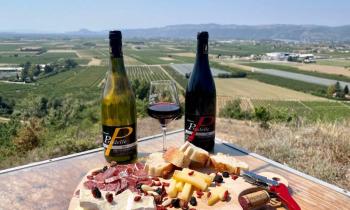 Balade commentée dans les vignes - Cave de Pradelle_Chanos-Curson