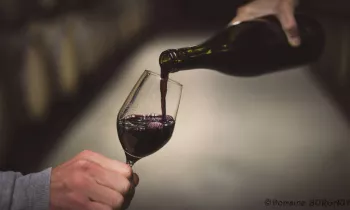 Visite et dégustation au Domaine Burgaud_Ampuis