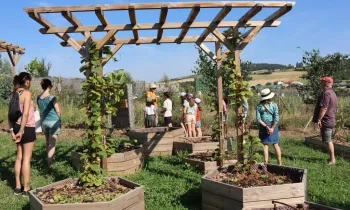 Visite de la Ferme Mielifique avec ateliers_Mornant