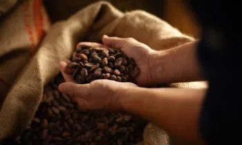 Atelier Chocolat en Terre d’Ardèche - Songes et Cacao_Lamastre