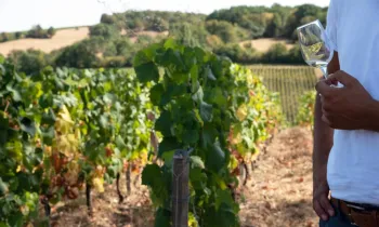 Domaine de Rougeon