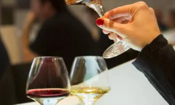 Ecole des Vins de Bourgogne_dégustation