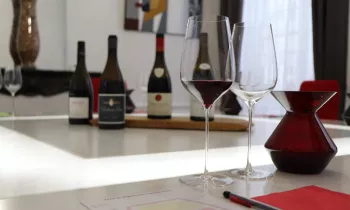 salle-degustation-baron-joursanvault-sensation-vin