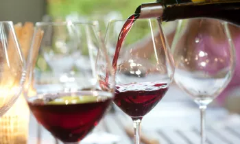 Dégustation d'un vin rouge