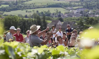 OeNolay Tour avec Nicolas Monnot