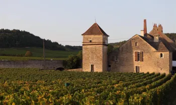 Clos du Moulin Aux Moines