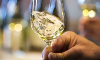 Dégustation de Chablis