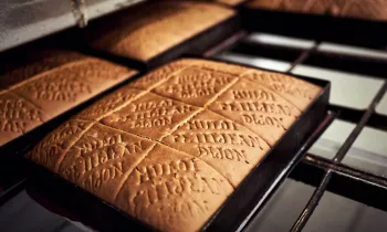 VG_BFC_©CHERRYSTONE_051219_MULOT_PETIT_JEAN_060