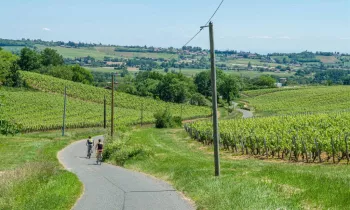 La Vélo Gourmande en Sud-Bourgogne