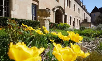 Hôtel-Dieu - Hospices Civils de Beaune - Saveurs du soin