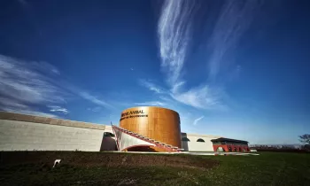 VG_BFC_©CHERRYSTONE_251119_VEUVE_AMBAL_059