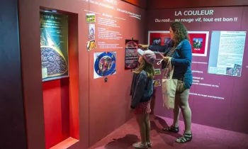 Maison du Charolais-Visite musee-CHAROLLES
