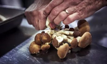 VG_BFC_©CHERRYSTONE_011020_LOISEAU_ (1)