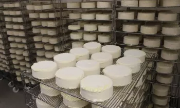 Affinage des fromages
