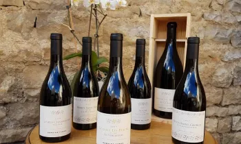 photos présentation de bouteille