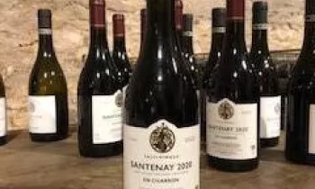 BOUTEILLES TASTEVINEES