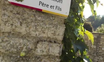 Domaine Bertillon Père et Fils