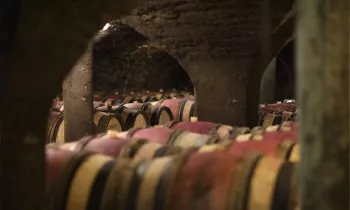 Nos caves du XVème siècle