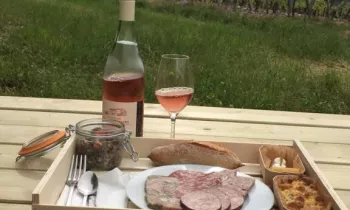 18452134_789243917902139_955455416_o