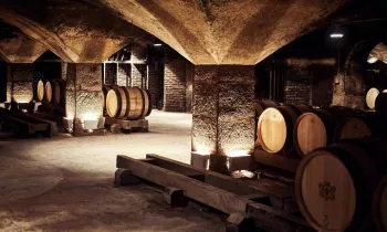 VG_BFC_©CHERRYSTONE_031219_CHATEAU_MEURSAULT_107