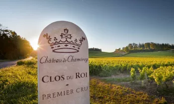 Château de Chamirey