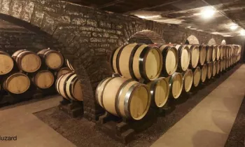 Cave Domaine Besancenot