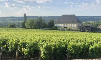 Domaine-Fleurot
