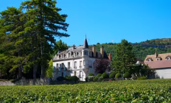 Domaine Chapelle