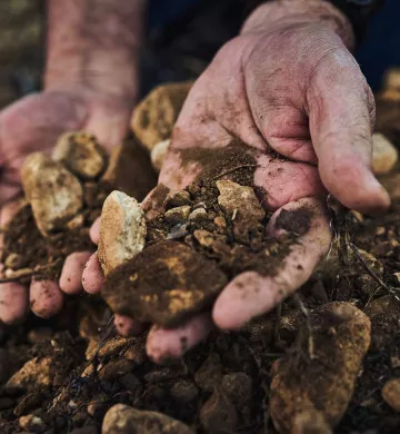 Mains dans la terre