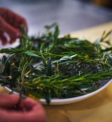 Herbes dans un plat