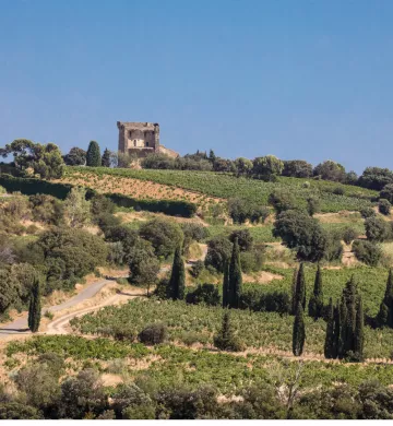 Vallée du Rhone Châteauneuf du Pape