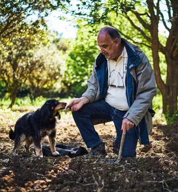 Truffe Domaine Montine