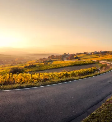 Route des vins