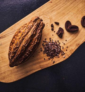 Chocolat Valrhôna