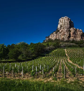 Vignobles de Bourgogne