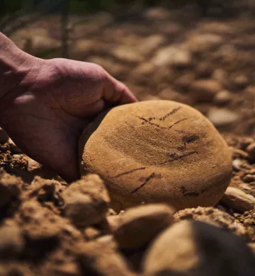 Territoire de la Vallée de la Gastronomie - France