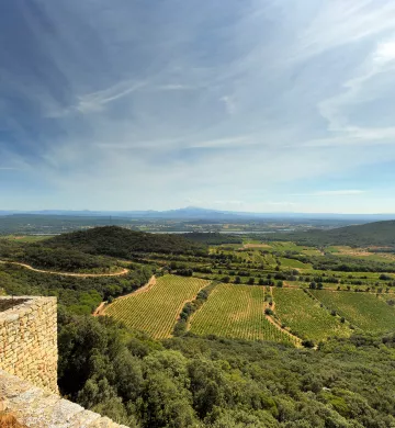 VINS-COTES-DU-RHONE-GARDOISES