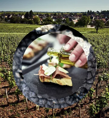 Visuel invitation et lancement