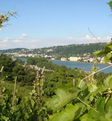 Pilat Vienne et Condrieu