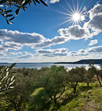 balade gastronomique provence