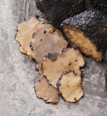 truffe