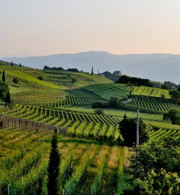 vignobles-vin-vallee-du-rhone